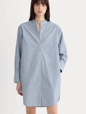 Everlane | THE RELAXED SHIRT DRESS IN ULTRASOFT COTTON | Navy & White Striped 00